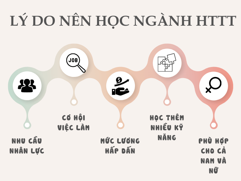 Có nên học ngành Hệ thống thông tin không