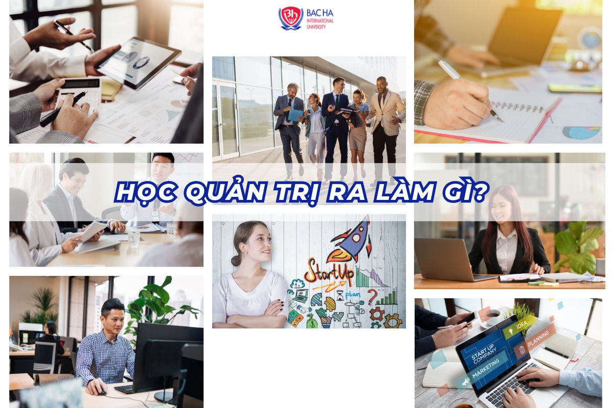 Học Quản trị ra trường làm gì?